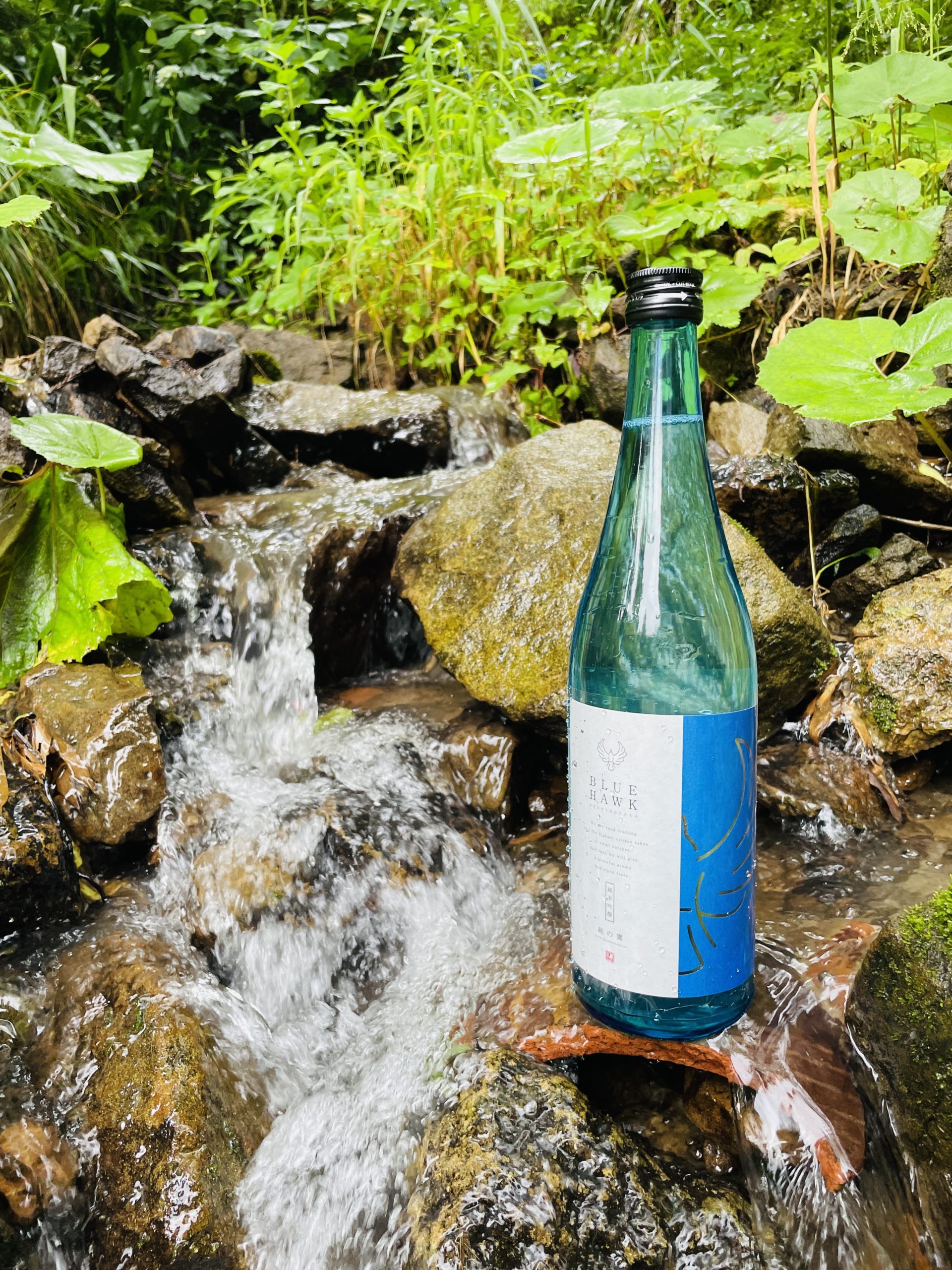 越の鷹 夏純吟 BLUE HAWK