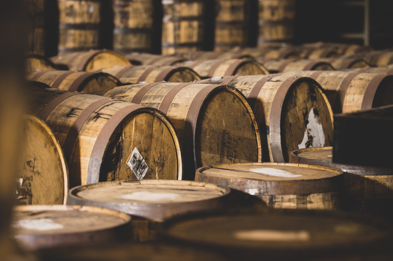 松井酒造合名会社_5