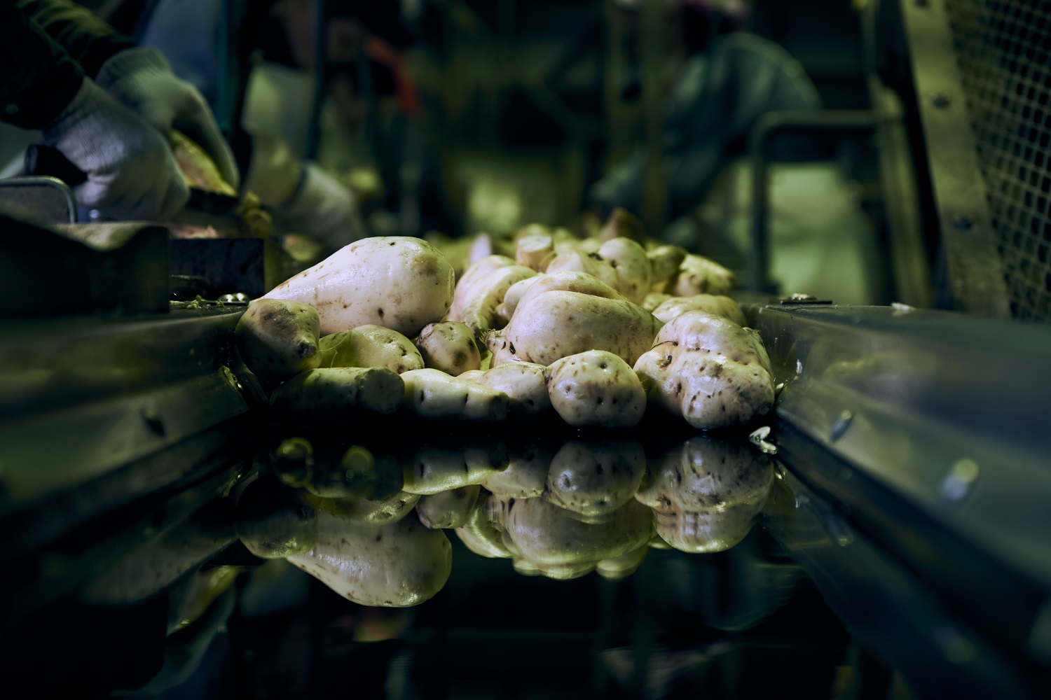 小牧醸造 株式会社_3